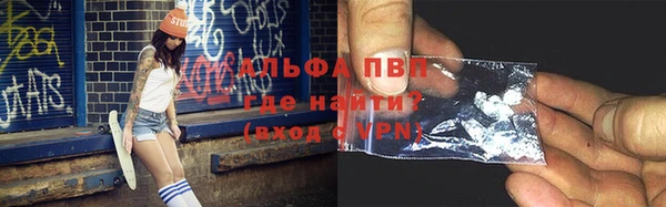трава Инта