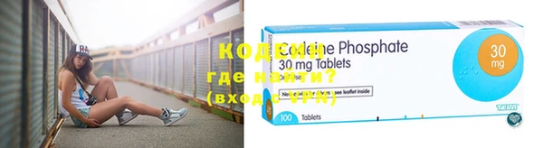 трава Инта
