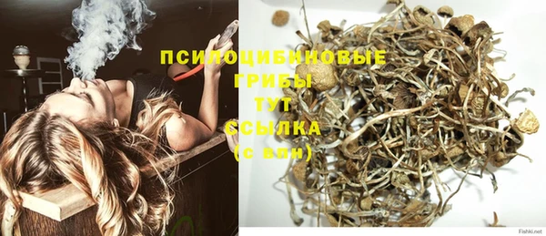 трава Инта