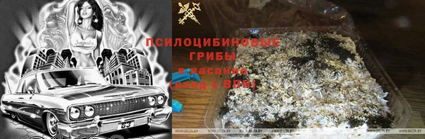 дмт Зерноград