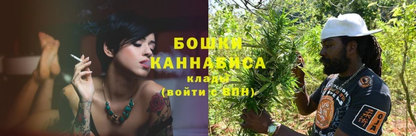 трава Инта