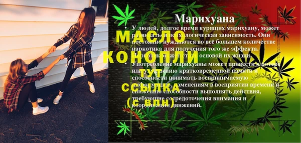 трава Инта