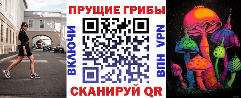 Купить где  Бородино  Псилоцибиновые грибы GOLDEN TEACHER 