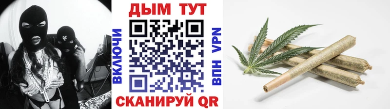 Купить где  Бородино  Конопля индика 